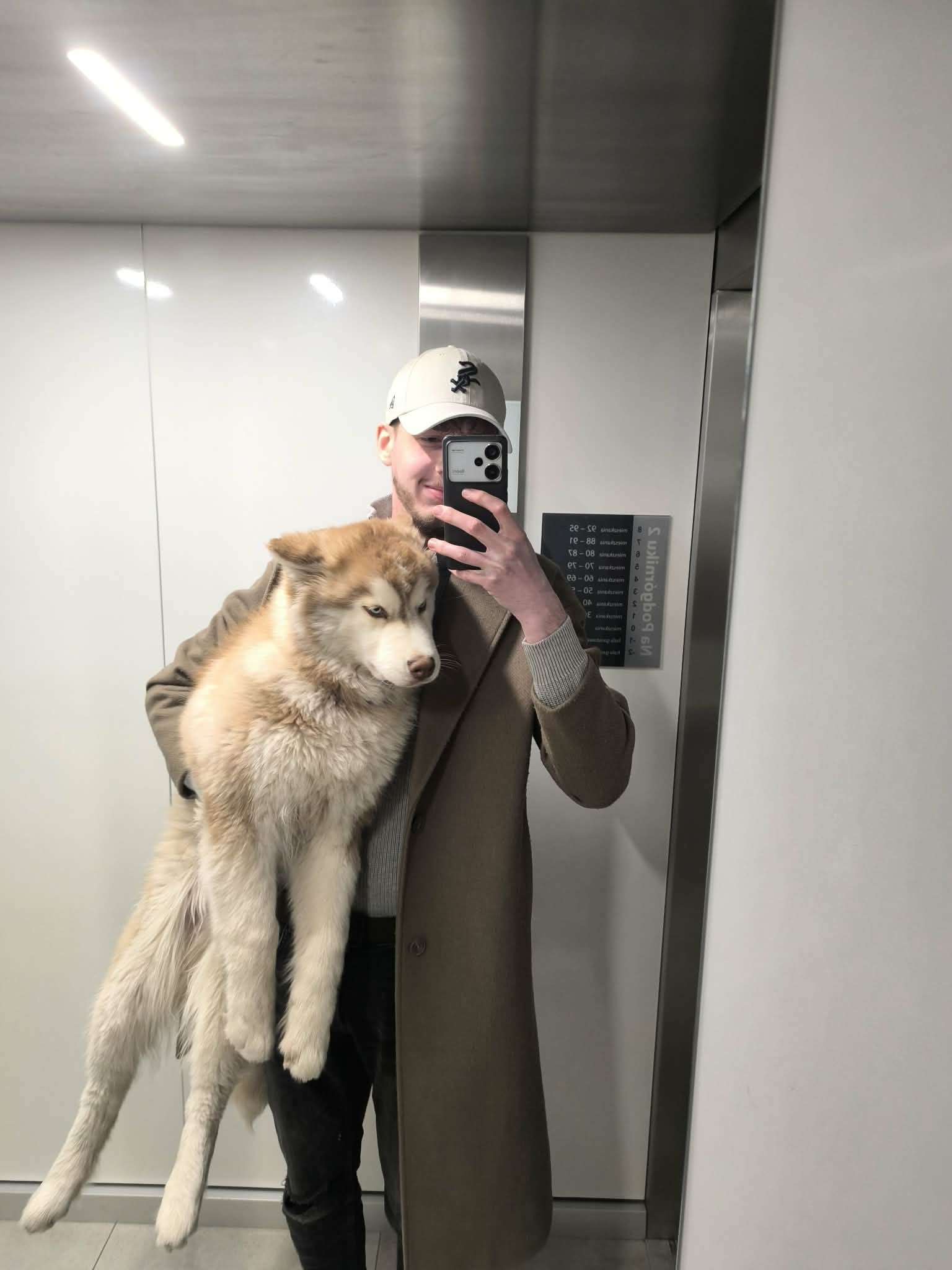 Cynamon — husky na rękach